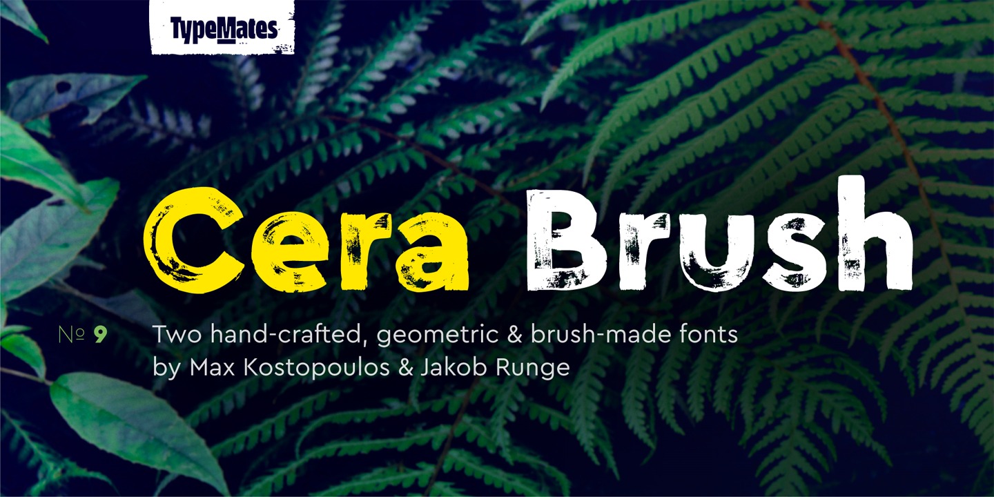 Cera Brush Thin Font preview